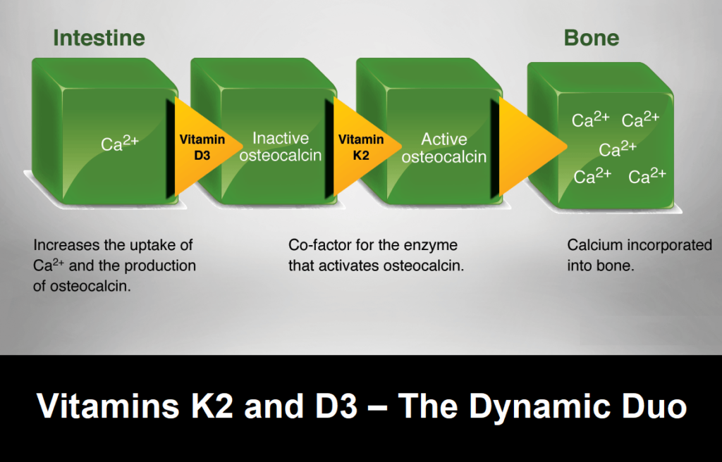 High Calcium Colostrum | VITAMIN K2 & D3 - The Dynamic Duo